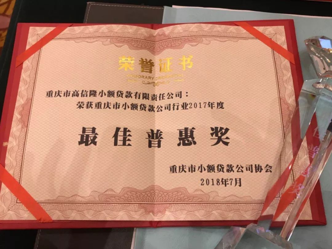 重庆市高信隆再次获奖并担任重庆市小贷协会副会长单位(图4)